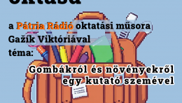 A gombák rejtett és rejtőző világáról
