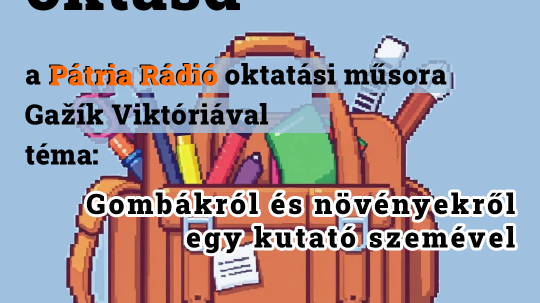 A gombák rejtett és rejtőző világáról